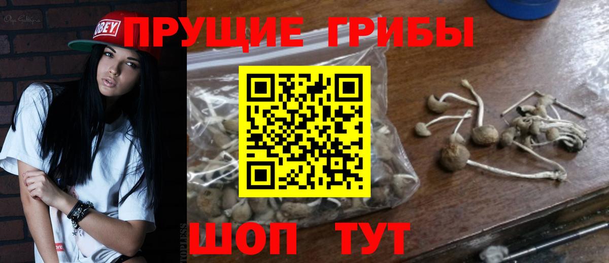 Псилоцибиновые грибы Magic Shrooms Десногорск