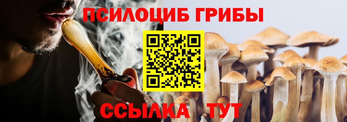 дарнет шоп  Вход с VPN  Десногорск  Галлюциногенные грибы MAGIC MUSHROOMS 